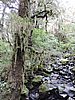 DSCN4342.JPG