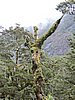 DSCN4344.JPG