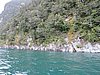 DSCN4349.JPG