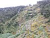 DSCN4350.JPG
