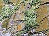DSCN4351.JPG