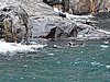 DSCN4360.JPG