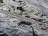 DSCN4363.JPG
