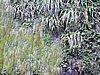 DSCN4367.JPG