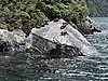 DSCN4381.JPG