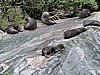 DSCN4384.JPG