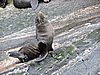 DSCN4387.JPG