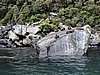 DSCN4389.JPG