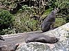 DSCN4390.JPG