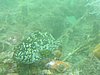 DSCN4404.JPG