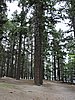 DSCN4434.JPG
