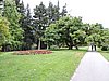 DSCN4435.JPG