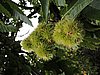 DSCN4437.JPG