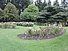 DSCN4438.JPG