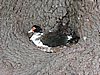 DSCN4439.JPG