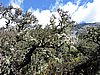 DSCN4489.JPG