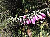 DSCN4490.JPG