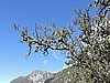 DSCN4491.JPG