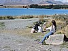 DSCN4500.JPG