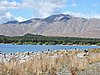 DSCN4503.JPG