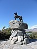 DSCN4507.JPG