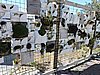 DSCN4513.JPG