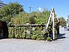 DSCN4534.JPG