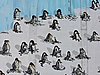 DSCN4545.JPG