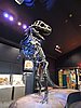 DSCN4567.JPG