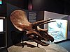 DSCN4568.JPG