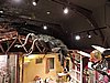 DSCN4569.JPG