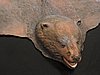 DSCN4584.JPG
