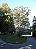 DSCN4594.JPG