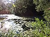DSCN4595.JPG