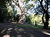 DSCN4596.JPG
