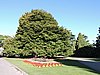 DSCN4601.JPG