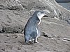 DSCN4612.JPG