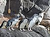 DSCN4613.JPG