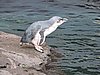 DSCN4614.JPG