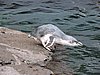 DSCN4615.JPG