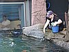 DSCN4617.JPG