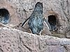 DSCN4619.JPG