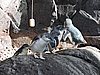 DSCN4624.JPG