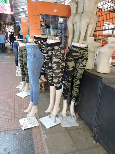 DSCN6679.JPG