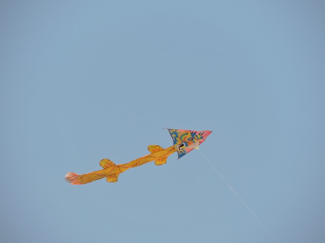 DSCN6707.JPG