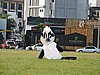 DSCN6710.JPG