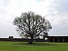 DSCN6731.JPG