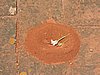 DSCN6735.JPG