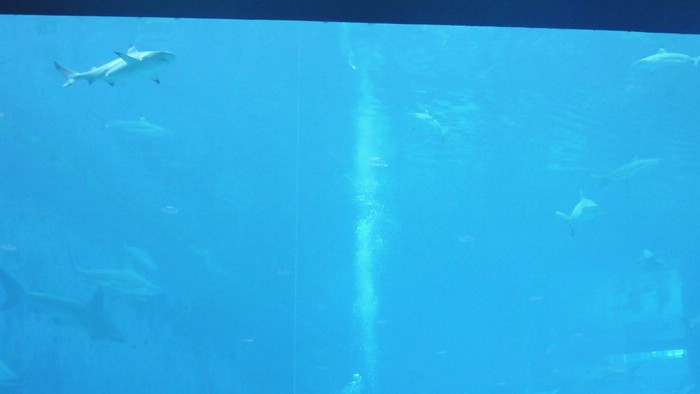 DSCN2690.JPG