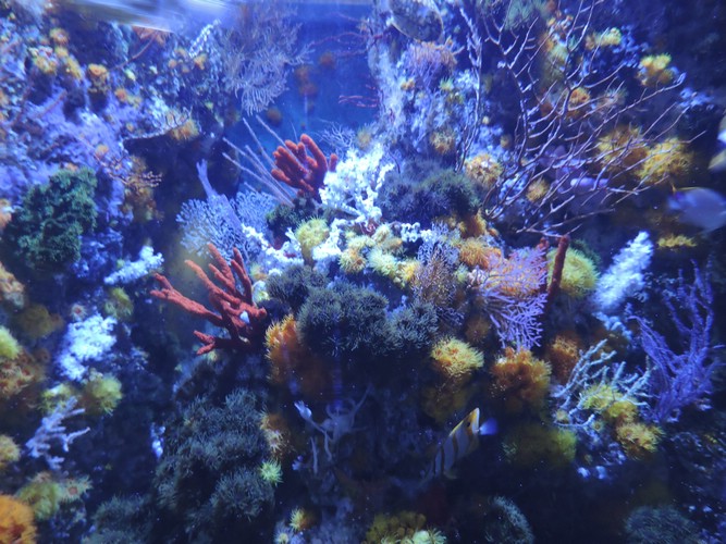 DSCN2700.JPG